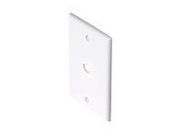 Steren TV Wall Plate - flush mount wallplate (ST-200-254WH)