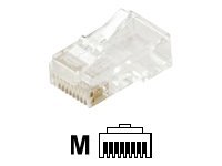 Steren network connector - clear (ST-301-191)