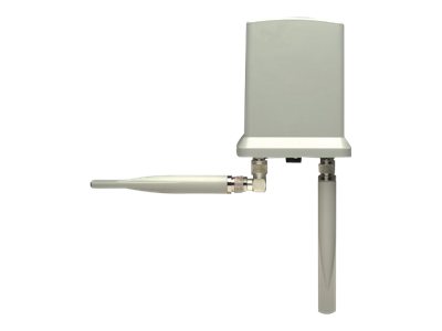 Intellinet Wireless 300N Outdoor PoE Access Point - wireless access (ITL-524711)