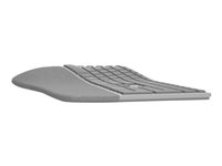 Microsoft Surface Ergonomic Keyboard - keyboard - English - North Am (3RA-00022)