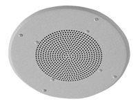 Valcom IP SoundPoint VIP-160A - IP speaker - for PA system (VC-VIP-160A)